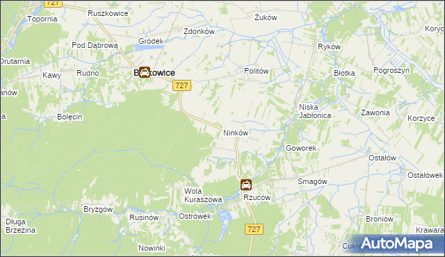 mapa Ninków, Ninków na mapie Targeo