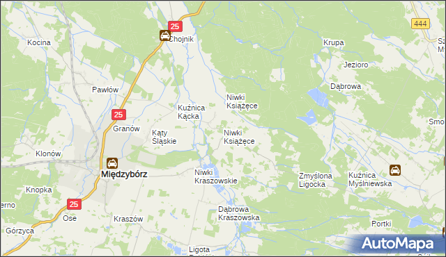 mapa Niwki Książęce gmina Międzybórz, Niwki Książęce gmina Międzybórz na mapie Targeo