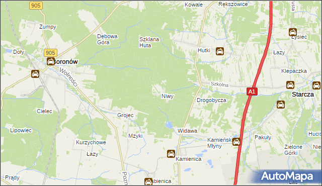 mapa Niwy gmina Woźniki, Niwy gmina Woźniki na mapie Targeo