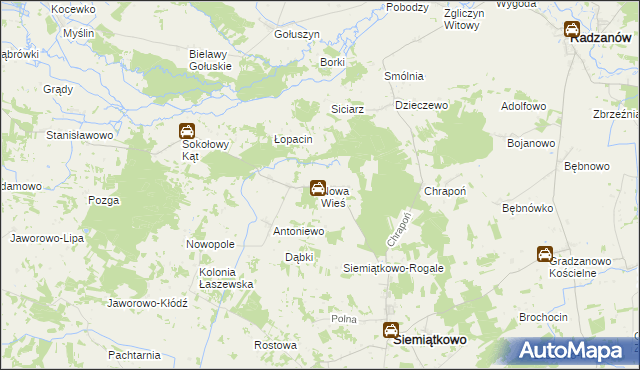 mapa Nowa Wieś gmina Siemiątkowo, Nowa Wieś gmina Siemiątkowo na mapie Targeo