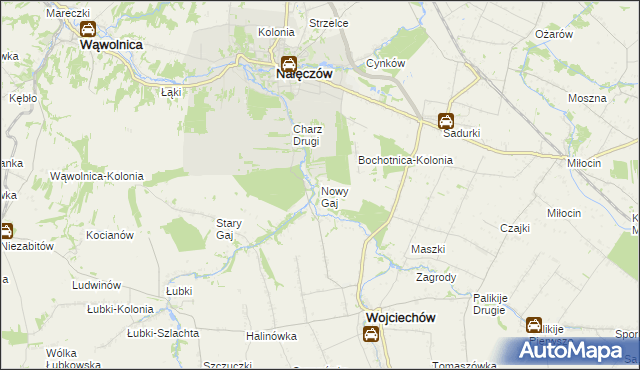 mapa Nowy Gaj gmina Wojciechów, Nowy Gaj gmina Wojciechów na mapie Targeo