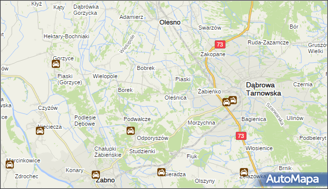 mapa Oleśnica gmina Olesno, Oleśnica gmina Olesno na mapie Targeo