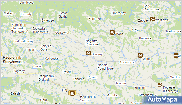 mapa Olszyny gmina Rzepiennik Strzyżewski, Olszyny gmina Rzepiennik Strzyżewski na mapie Targeo