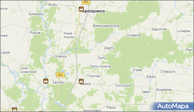 mapa Osiny gmina Sędziejowice, Osiny gmina Sędziejowice na mapie Targeo