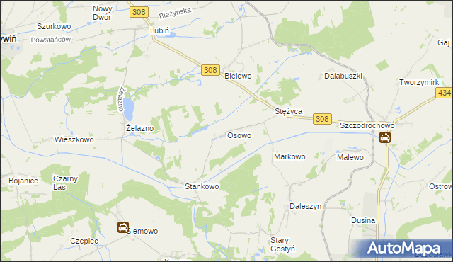 mapa Osowo gmina Gostyń, Osowo gmina Gostyń na mapie Targeo