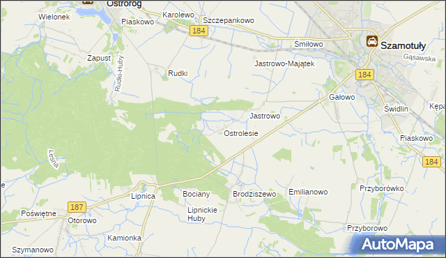 mapa Ostrolesie, Ostrolesie na mapie Targeo