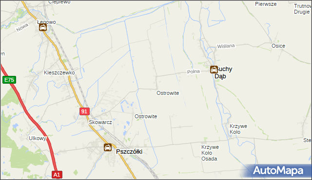 mapa Ostrowite gmina Suchy Dąb, Ostrowite gmina Suchy Dąb na mapie Targeo