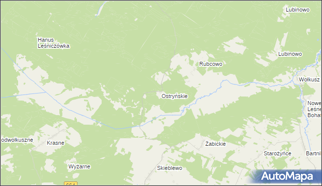 mapa Ostryńskie, Ostryńskie na mapie Targeo