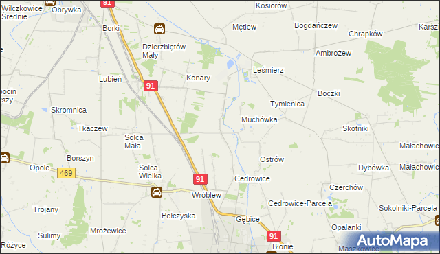 mapa Parzyce gmina Ozorków, Parzyce gmina Ozorków na mapie Targeo