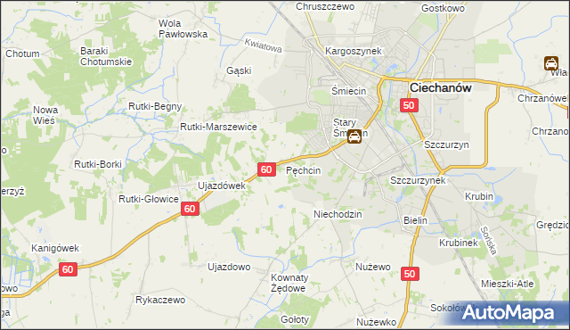 mapa Pęchcin, Pęchcin na mapie Targeo