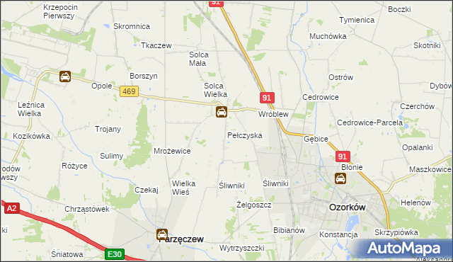 mapa Pełczyska gmina Ozorków, Pełczyska gmina Ozorków na mapie Targeo