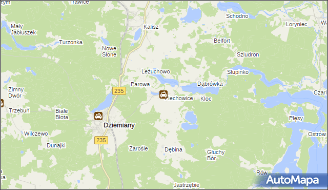 mapa Piechowice gmina Dziemiany, Piechowice gmina Dziemiany na mapie Targeo