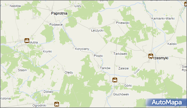 mapa Pliszki, Pliszki na mapie Targeo