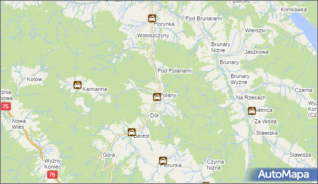 mapa Polany gmina Krynica-Zdrój, Polany gmina Krynica-Zdrój na mapie Targeo