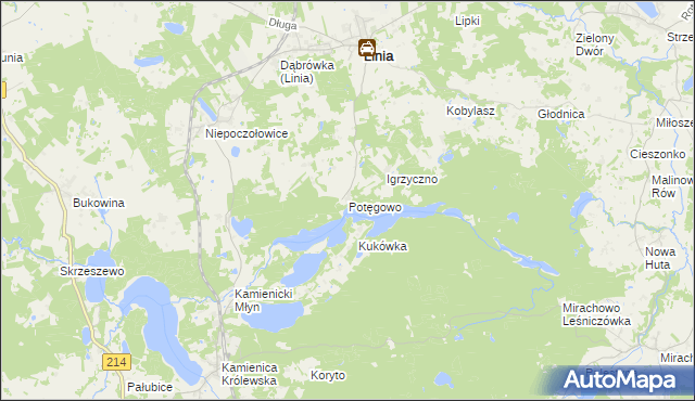 mapa Potęgowo gmina Linia, Potęgowo gmina Linia na mapie Targeo