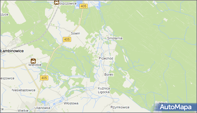 mapa Przechód gmina Korfantów, Przechód gmina Korfantów na mapie Targeo