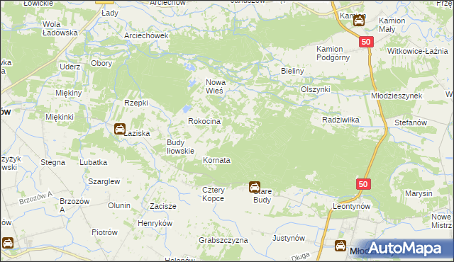 mapa Rokicina, Rokicina na mapie Targeo