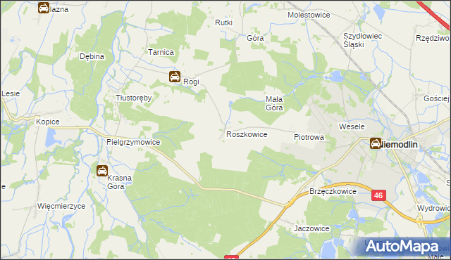 mapa Roszkowice gmina Niemodlin, Roszkowice gmina Niemodlin na mapie Targeo