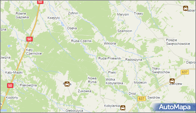 mapa Ruda-Pniewnik, Ruda-Pniewnik na mapie Targeo