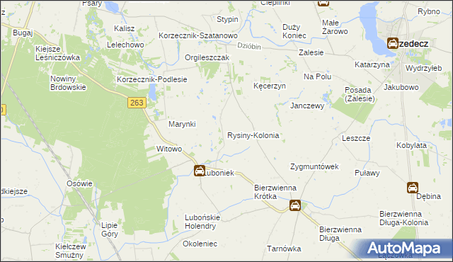 mapa Rysiny-Kolonia, Rysiny-Kolonia na mapie Targeo