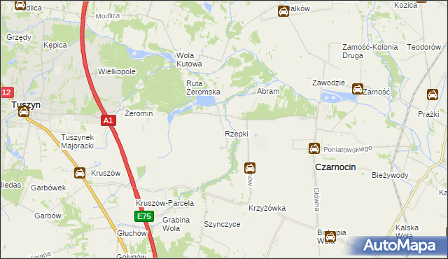 mapa Rzepki gmina Czarnocin, Rzepki gmina Czarnocin na mapie Targeo