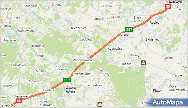 mapa Siestrzeń, Siestrzeń na mapie Targeo