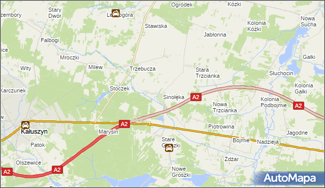 mapa Sinołęka, Sinołęka na mapie Targeo