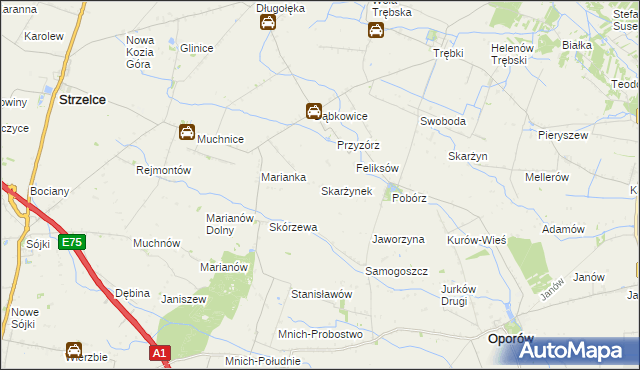 mapa Skarżynek gmina Oporów, Skarżynek gmina Oporów na mapie Targeo