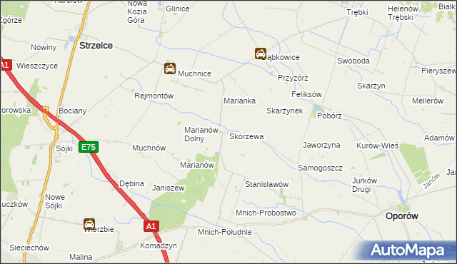 mapa Skórzewa, Skórzewa na mapie Targeo