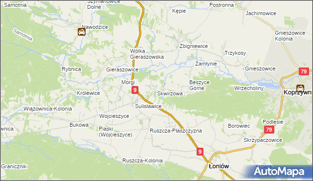 mapa Skwirzowa, Skwirzowa na mapie Targeo