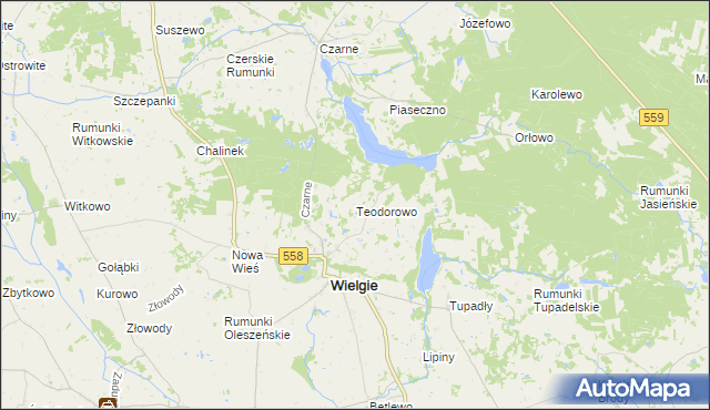 mapa Teodorowo gmina Wielgie, Teodorowo gmina Wielgie na mapie Targeo