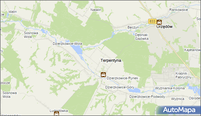 mapa Terpentyna, Terpentyna na mapie Targeo