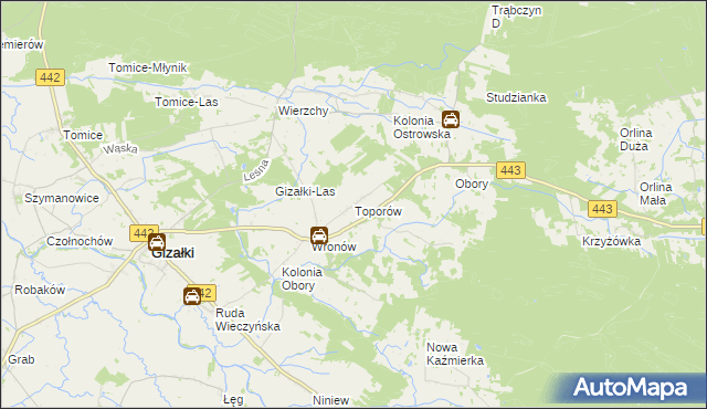 mapa Toporów gmina Gizałki, Toporów gmina Gizałki na mapie Targeo