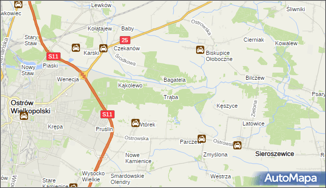 mapa Trąba, Trąba na mapie Targeo