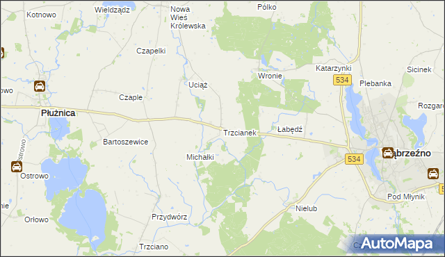 mapa Trzcianek, Trzcianek na mapie Targeo