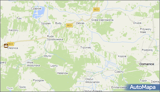 mapa Trzciniec gmina Skórzec, Trzciniec gmina Skórzec na mapie Targeo