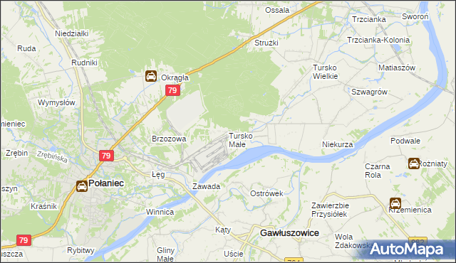 mapa Tursko Małe, Tursko Małe na mapie Targeo