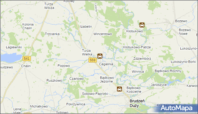 mapa Turza Mała gmina Brudzeń Duży, Turza Mała gmina Brudzeń Duży na mapie Targeo