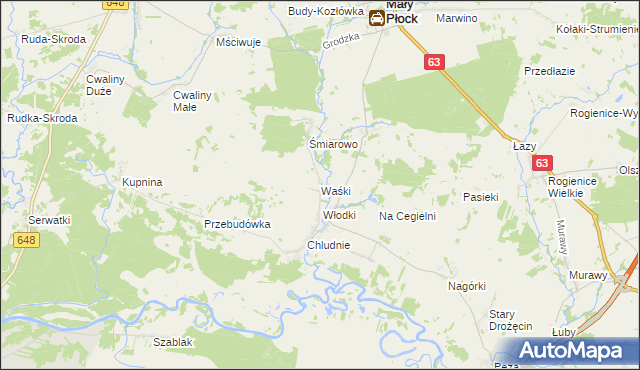 mapa Waśki gmina Mały Płock, Waśki gmina Mały Płock na mapie Targeo