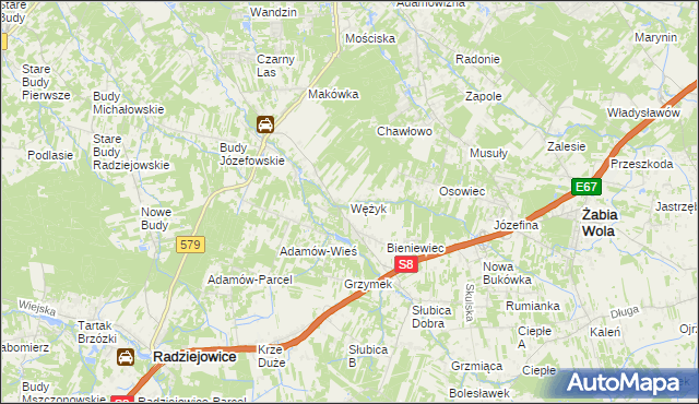 mapa Wężyk, Wężyk na mapie Targeo