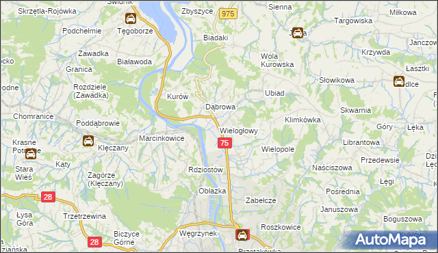 mapa Wielogłowy gmina Chełmiec, Wielogłowy gmina Chełmiec na mapie Targeo