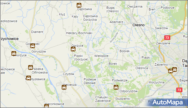 mapa Wielopole gmina Olesno, Wielopole gmina Olesno na mapie Targeo