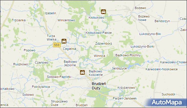 mapa Winnica gmina Brudzeń Duży, Winnica gmina Brudzeń Duży na mapie Targeo