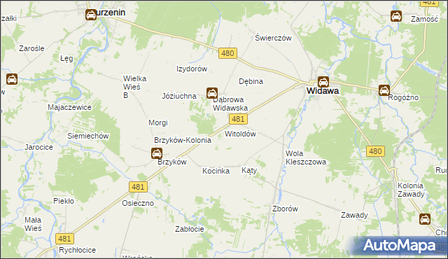 mapa Witoldów gmina Widawa, Witoldów gmina Widawa na mapie Targeo