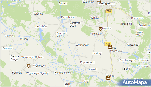 mapa Wygnanów gmina Małogoszcz, Wygnanów gmina Małogoszcz na mapie Targeo