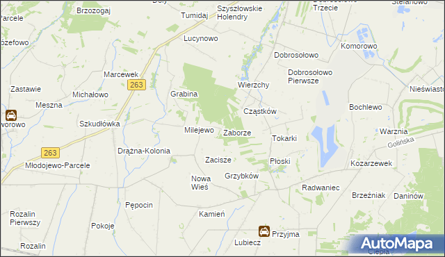 mapa Zaborze gmina Słupca, Zaborze gmina Słupca na mapie Targeo