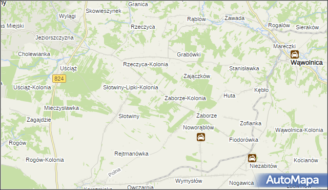 mapa Zaborze-Kolonia, Zaborze-Kolonia na mapie Targeo