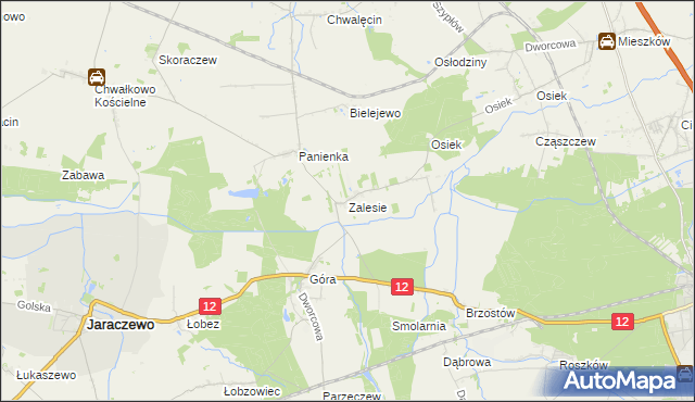 mapa Zalesie gmina Jaraczewo, Zalesie gmina Jaraczewo na mapie Targeo