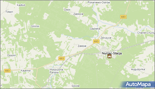 mapa Zalesie gmina Nurzec-Stacja, Zalesie gmina Nurzec-Stacja na mapie Targeo