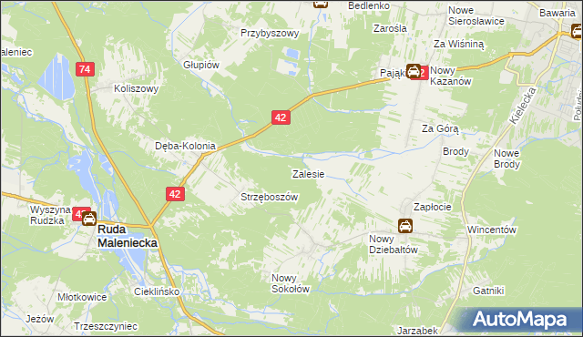 mapa Zalesie gmina Ruda Maleniecka, Zalesie gmina Ruda Maleniecka na mapie Targeo